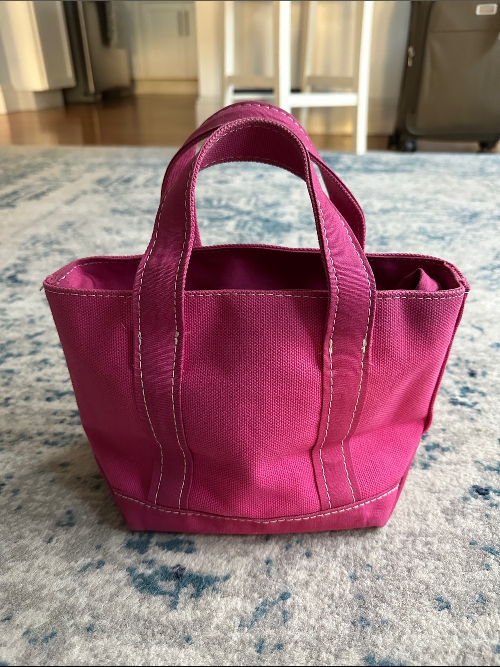 LL Bean Pink Canvas Mini Tote Zip Top vintage Bag Pink Cotton Y2K RARE